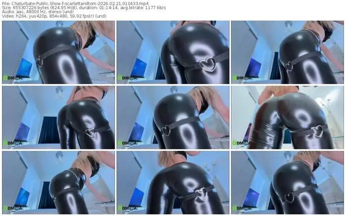 chaturbate-scarlettandtom-02-21-2026-01-04-33