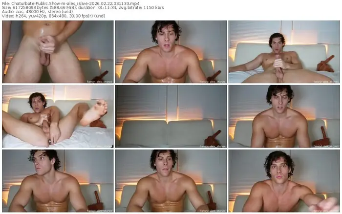 chaturbate-alex_islive-02-22-2026-03-11-33
