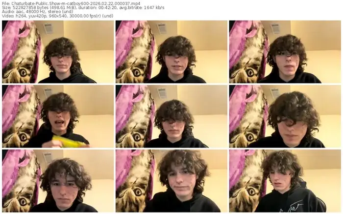 chaturbate-catboy600-02-22-2026-00-00-37