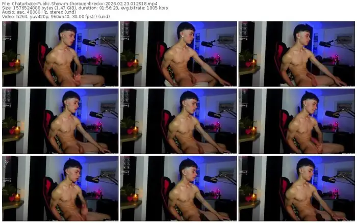 chaturbate-thoroughbredxx-02-23-2026-01-29-18