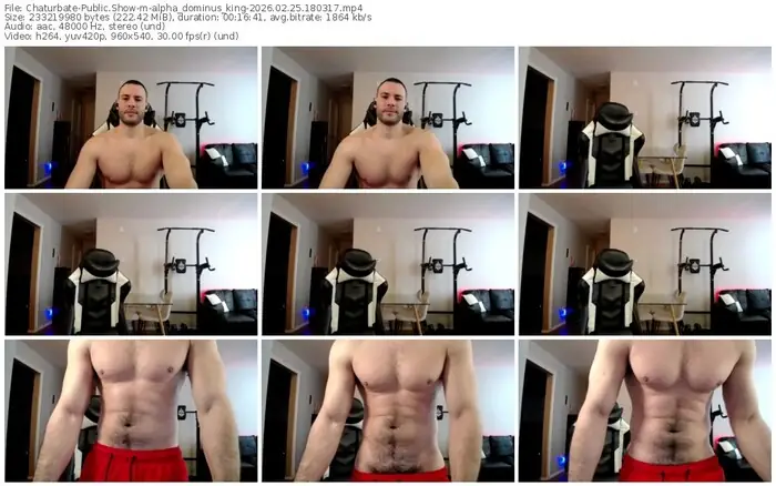 chaturbate-alpha_dominus_king-02-25-2026-18-03-17