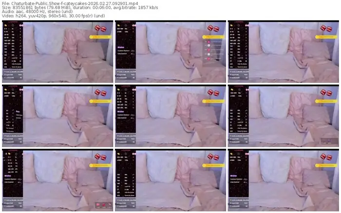 chaturbate-cateycakes-02-27-2026-09-29-01