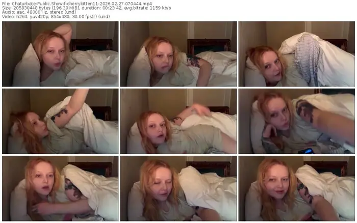 chaturbate-cherrykitten11-02-27-2026-07-04-44