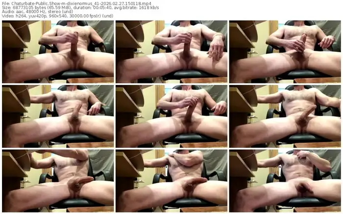 chaturbate-dixienormus_41-02-27-2026-15-01-18