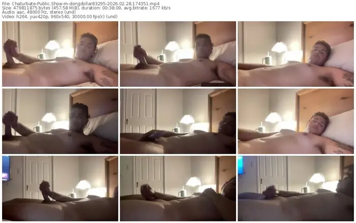 chaturbate-dongdollar83295-02-28-2026-17-43-51