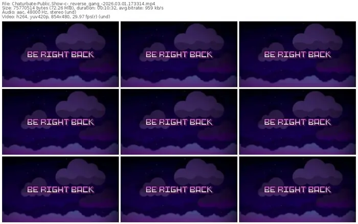 chaturbate-_reverse_gang_-03-01-2026-17-33-14