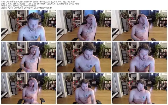 chaturbate-david_dixon2025-03-01-2026-01-37-38
