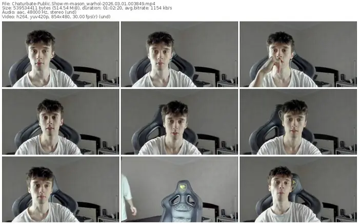 chaturbate-mason_warhol-03-01-2026-00-38-49