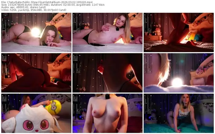 chaturbate-burnletitallburn-03-02-2026-19-50-20