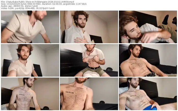 chaturbate-hiddengaze-03-02-2026-14-46-09