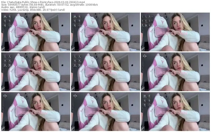 chaturbate-frenzyfoxs-03-03-2026-23-04-13