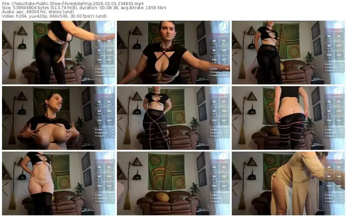 chaturbate-forestdarling-03-03-2026-23-48-33