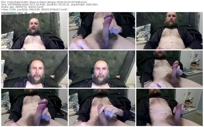 chaturbate-basiccamguy-03-04-2026-01-54-48