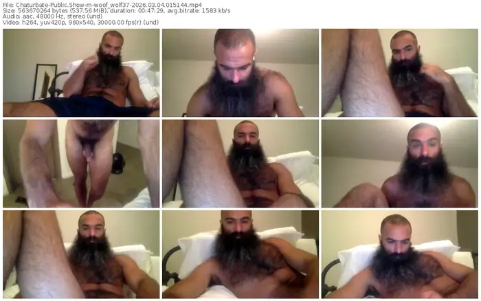 chaturbate-woof_wolf37-03-04-2026-01-51-44