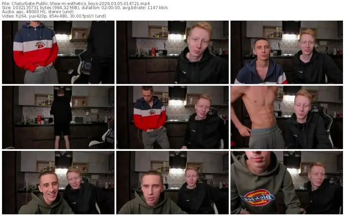 chaturbate-esthetics_boys-03-05-2026-01-47-21