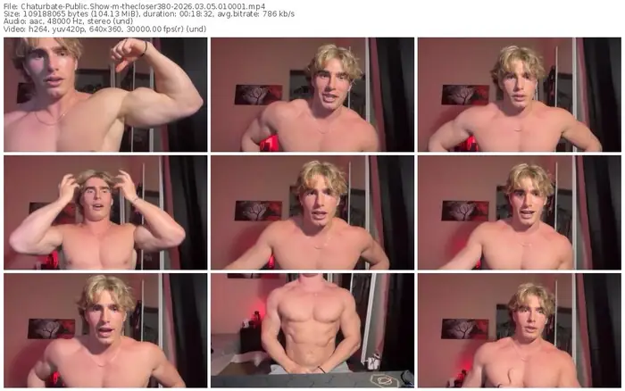 chaturbate-thecloser380-03-05-2026-01-00-01