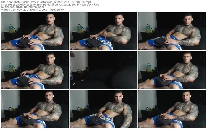chaturbate-sebastian_muss-03-06-2026-00-11-31