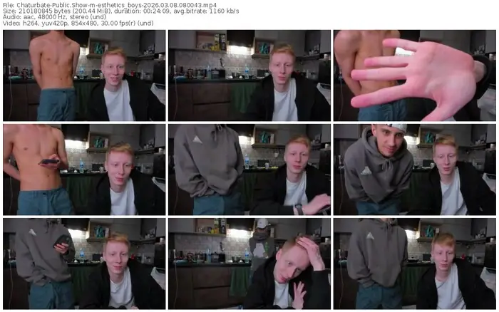 chaturbate-esthetics_boys-03-08-2026-08-00-43