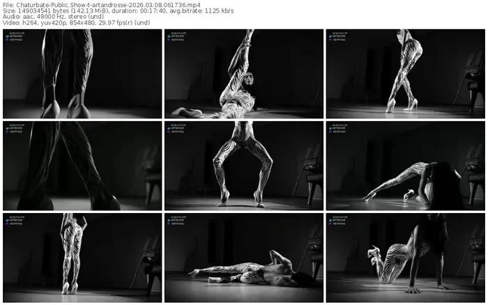 chaturbate-artandrosse-03-08-2026-06-17-36