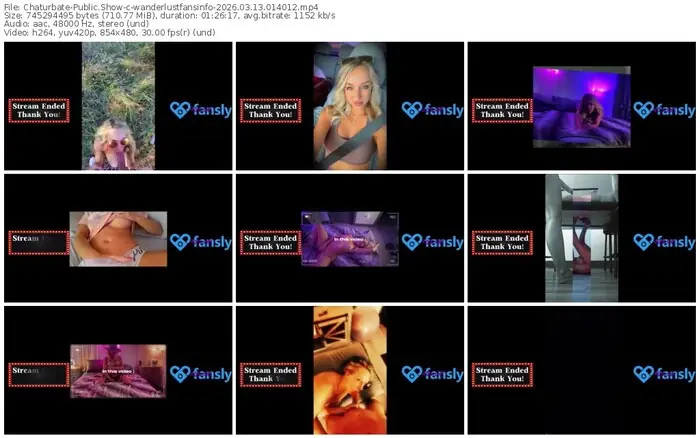 chaturbate-wanderlustfansinfo-03-13-2026-01-40-12