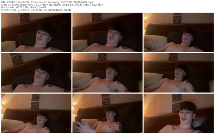 chaturbate-camdenavery1-03-20-2026-01-04-09