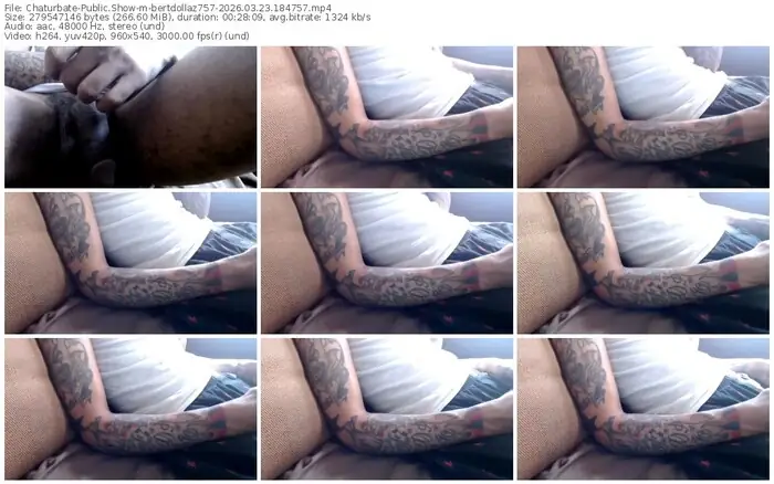 chaturbate-bertdollaz757-03-23-2026-18-47-57