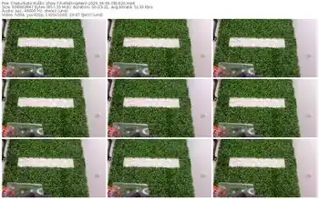 chaturbate-hotfallingdevil-04-09-2026-08-18-20