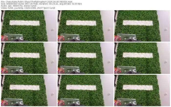 chaturbate-hotfallingdevil-04-09-2026-08-18-20