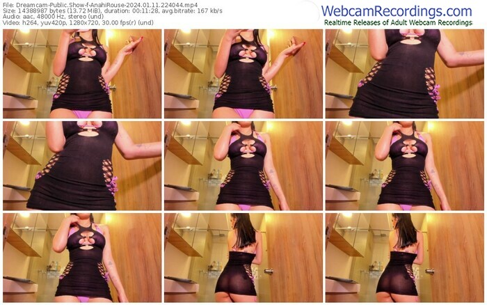 dreamcam-anahirouse-01-11-2024-22-40-44