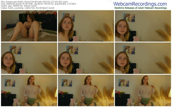 dreamcam-mrsprude-01-15-2024-02-13-31