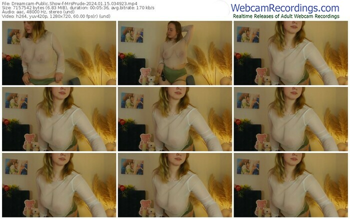 dreamcam-mrsprude-01-15-2024-03-49-23
