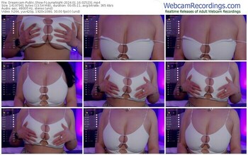 dreamcam-lounanight-01-16-2024-02-52-31