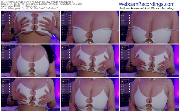 dreamcam-lounanight-01-16-2024-02-52-31