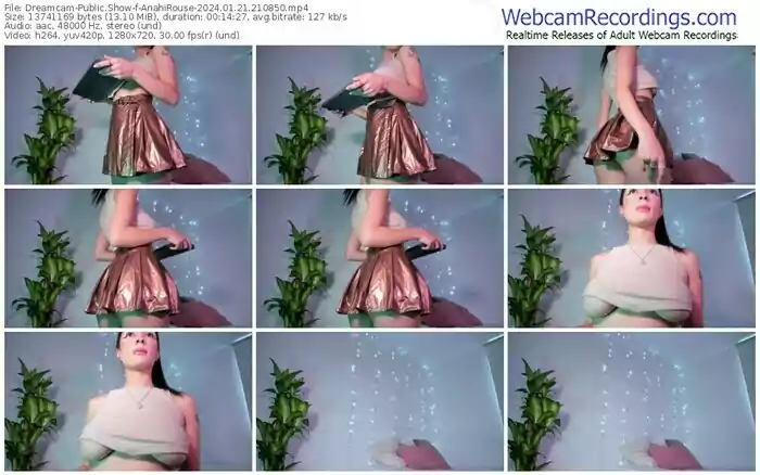 dreamcam-anahirouse-01-21-2024-21-08-50