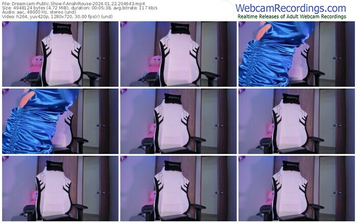dreamcam-anahirouse-01-22-2024-20-46-43