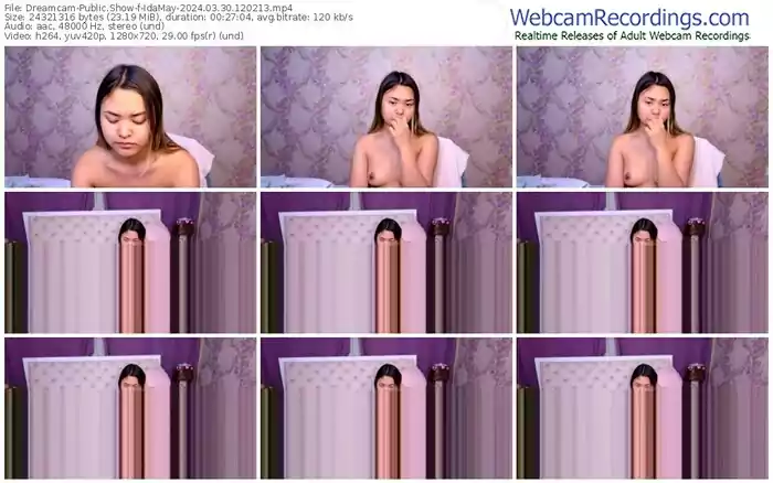 dreamcam-idamay-03-30-2024-12-02-13
