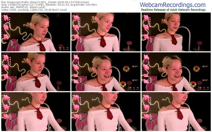 dreamcam-little__dream-04-13-2024-07-56-19