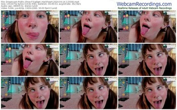 dreamcam-gadget_hackheart-04-14-2024-12-33-00