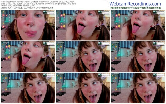 dreamcam-gadget_hackheart-04-14-2024-12-33-00