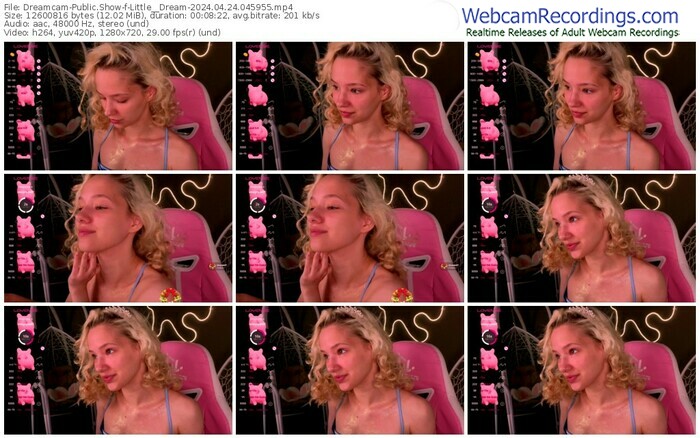 dreamcam-little__dream-04-24-2024-04-59-55