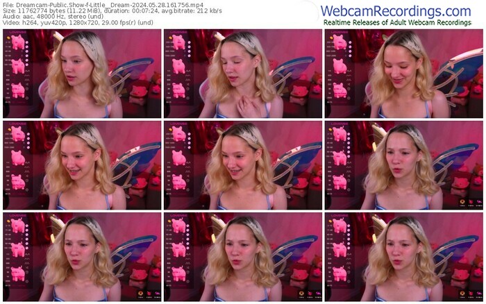 dreamcam-little__dream-05-28-2024-16-17-56