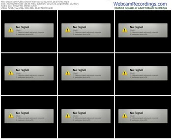 dreamcam-kitnisskiss-07-29-2024-07-57-41