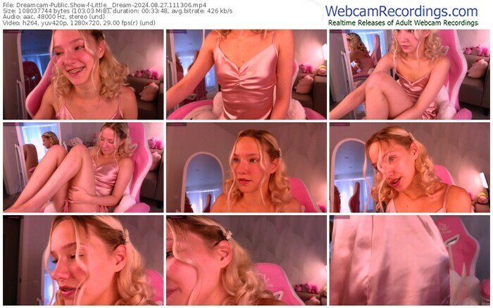 dreamcam-little__dream-08-27-2024-11-13-06