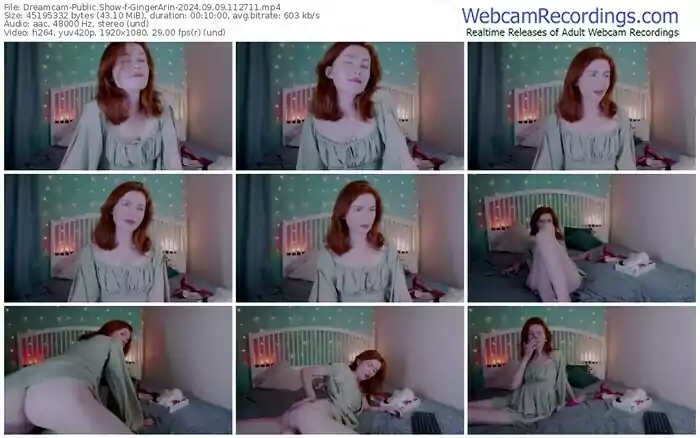 dreamcam-gingerarin-09-09-2024-11-27-11