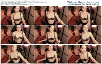 dreamcam-uwu_vi-11-28-2024-16-20-59