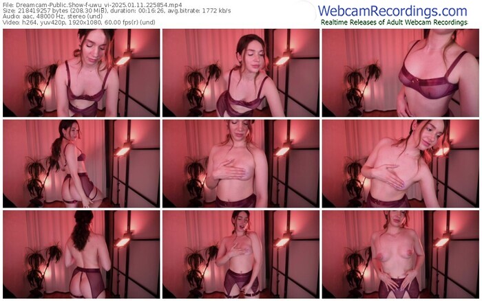 dreamcam-uwu_vi-01-11-2025-22-58-54