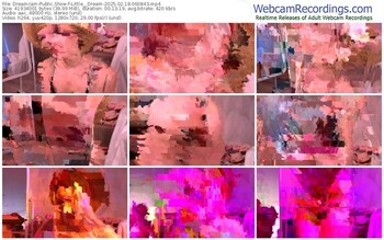 dreamcam-little__dream-02-18-2025-06-08-43
