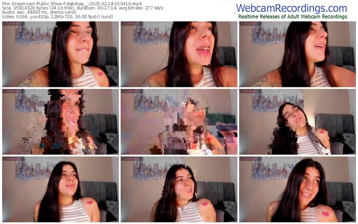 dreamcam-dakotaa__-02-18-2025-01-04-16