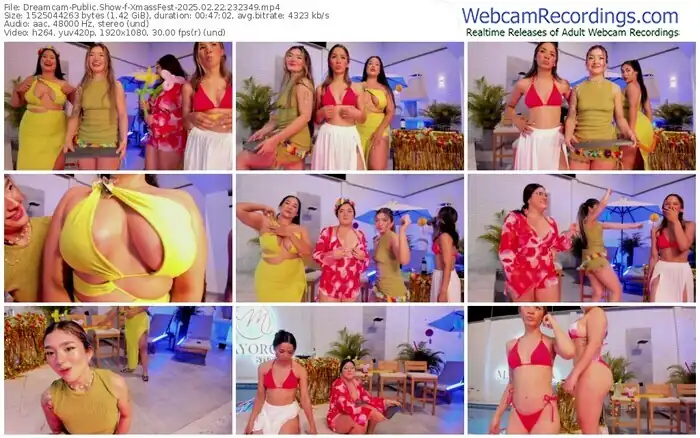 dreamcam-xmassfest-02-22-2025-23-23-49