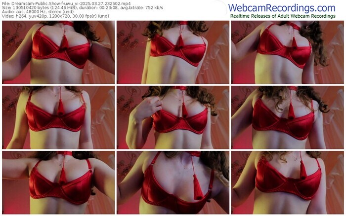 dreamcam-uwu_vi-03-27-2025-23-25-02